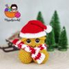 How the Wiwi Stole Christmas Pattern Modifications | PDF Download!